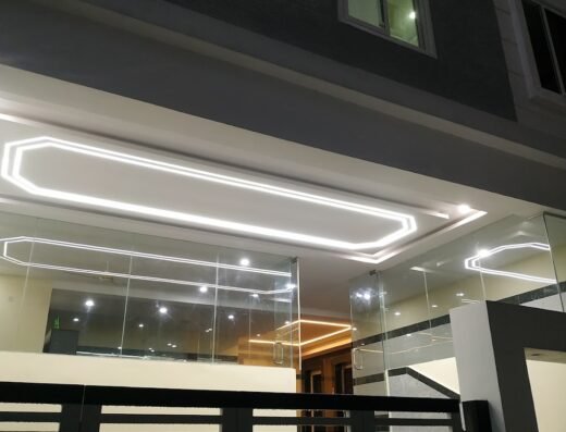 Live Well Luxury PG Service